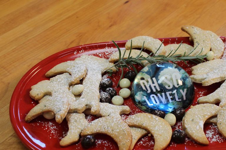 Cookies: Small Bites, Big Joy